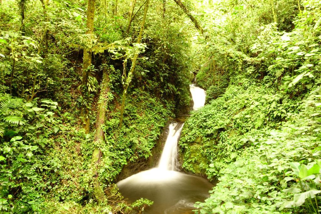 Casa Alquimia Hotell Monteverde Eksteriør bilde