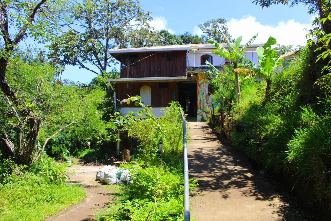 Casa Alquimia Hotell Monteverde Eksteriør bilde
